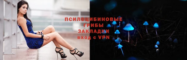 прущая мука Елабуга