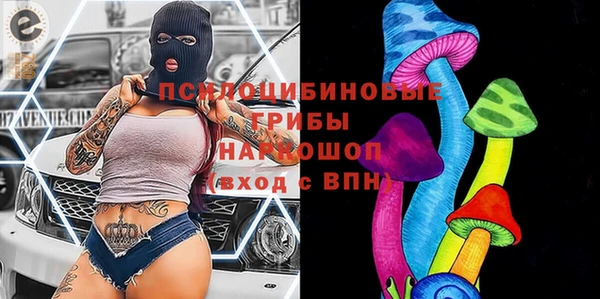 прущая мука Елабуга