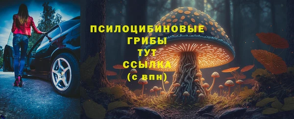 меф Елизово