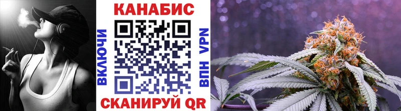 Бошки марихуана планчик  Купить  Чадан 