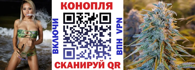 Марихуана индика Чадан